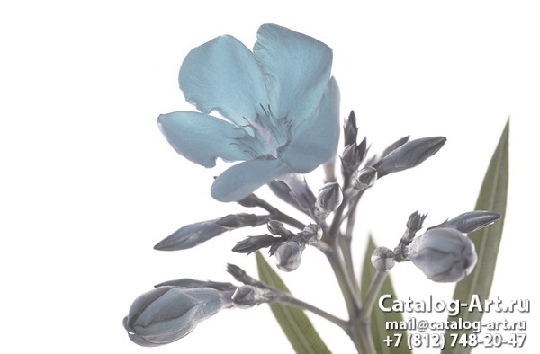 Bleu flowers 26